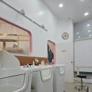 끌레르몽 네이버블로그