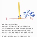 근의 공식 PT 이미지
