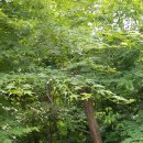 서리풀공원1-1 이미지