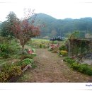 가을농장 이미지