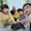 거북이 자동차정비 이미지