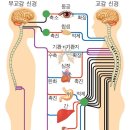국제이침협회 이미지