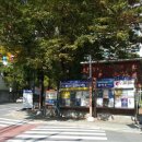 월영동223 이미지