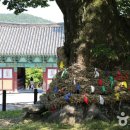 당산농장 이미지