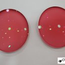 소사안경원 이미지