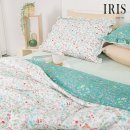 아이리스 이미지