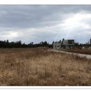 제주사랑공인중개사사무소 이미지