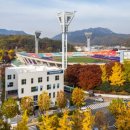 축구전용구장 이미지