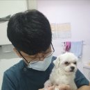 논산동물병원 이미지