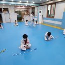 용인대 타이곤 프렌즈 태권도장 이미지