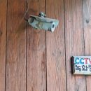 진토베기 이미지