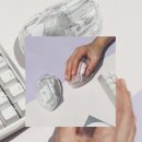 미래사무기기 | 투명 무선 버티컬 마우스 물방울 저소음 블루투스 인체공학 사무용 데스크테리어 후기 오브룸