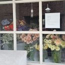 드라이브 in 콘서트 | 씨엑쎔더블업이치고오 in 부산(수영돼지국밥,커메인,뚜벅스,벡스코 계단석, 주차)