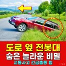 전봇대 옆 이미지