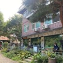 숲속에 우산정원 이미지