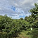 소반농장 이미지