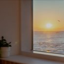 바다담스파풀빌라 이미지