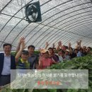 임마누엘 농장 이미지