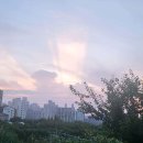 에프엠치과병원 네이버블로그