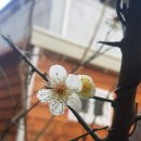 에이플(주) 이미지