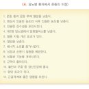 Force-King 개발 이미지