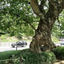 정도바이오태양광발전소 이미지