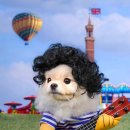 퍼리테일 이미지