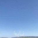 테헤란인터내셔널 이미지