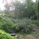 참살이농장 이미지