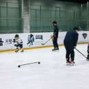 솔라베어스클럽