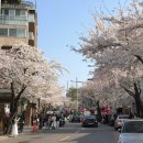 GS25 종로누하 네이버블로그