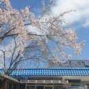 가야산오리