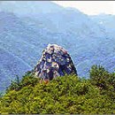 운제농장 이미지