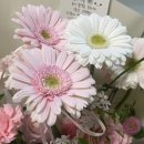 대구대학교 재활과학대학원 이미지