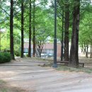 옻골다목적구장 이미지