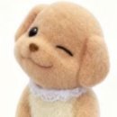 마음미용실 이미지