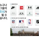 쎈텐호전실업 네이버블로그