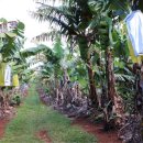 월드농장 이미지