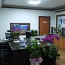 영종중앙부동산공인중개사사무소 이미지