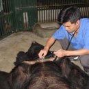 산골무지개 이미지