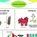 가배울