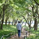 불갑사 산림박물관 | 영광 불갑사 주차 불갑산 가을 단풍 여행 실시간