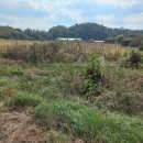 영천남부공인중개사사무소 이미지