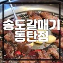 송도갈매기동탄점 이미지