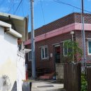 노마드인 강릉 이미지