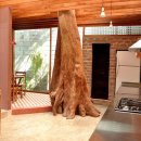 자연이숨쉬는집 이미지