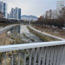 대구 칠곡 로스터리 카페 얼터커피 후기