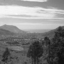 구덕운동장 입구 이미지