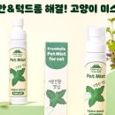 담은제주농업회사법인주식회사 이미지