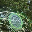 [주:Review] 2023 Seoul Park Music Festival🌿🎧 | 88잔디마당 | 230624